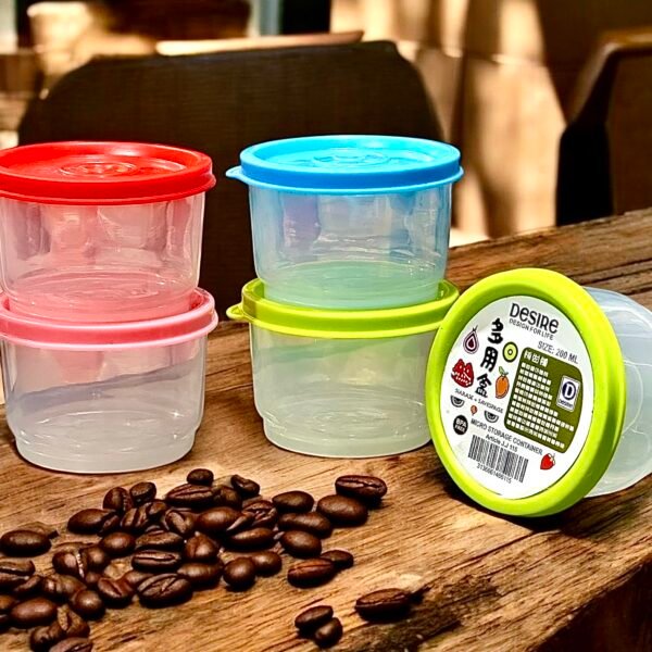 Mini Storage Container Food Storage Box Portable Plastic Storage Container 2 Pcs Or 4 Pcs Set