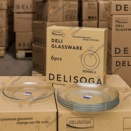 "Delisoga 6 pcs glass plate set – premium transparent dinnerware for serving meals, salads, desserts and snacks"